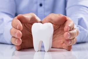 Close-up of hands protecting a large tooth model, symbolizing dental care and protection.