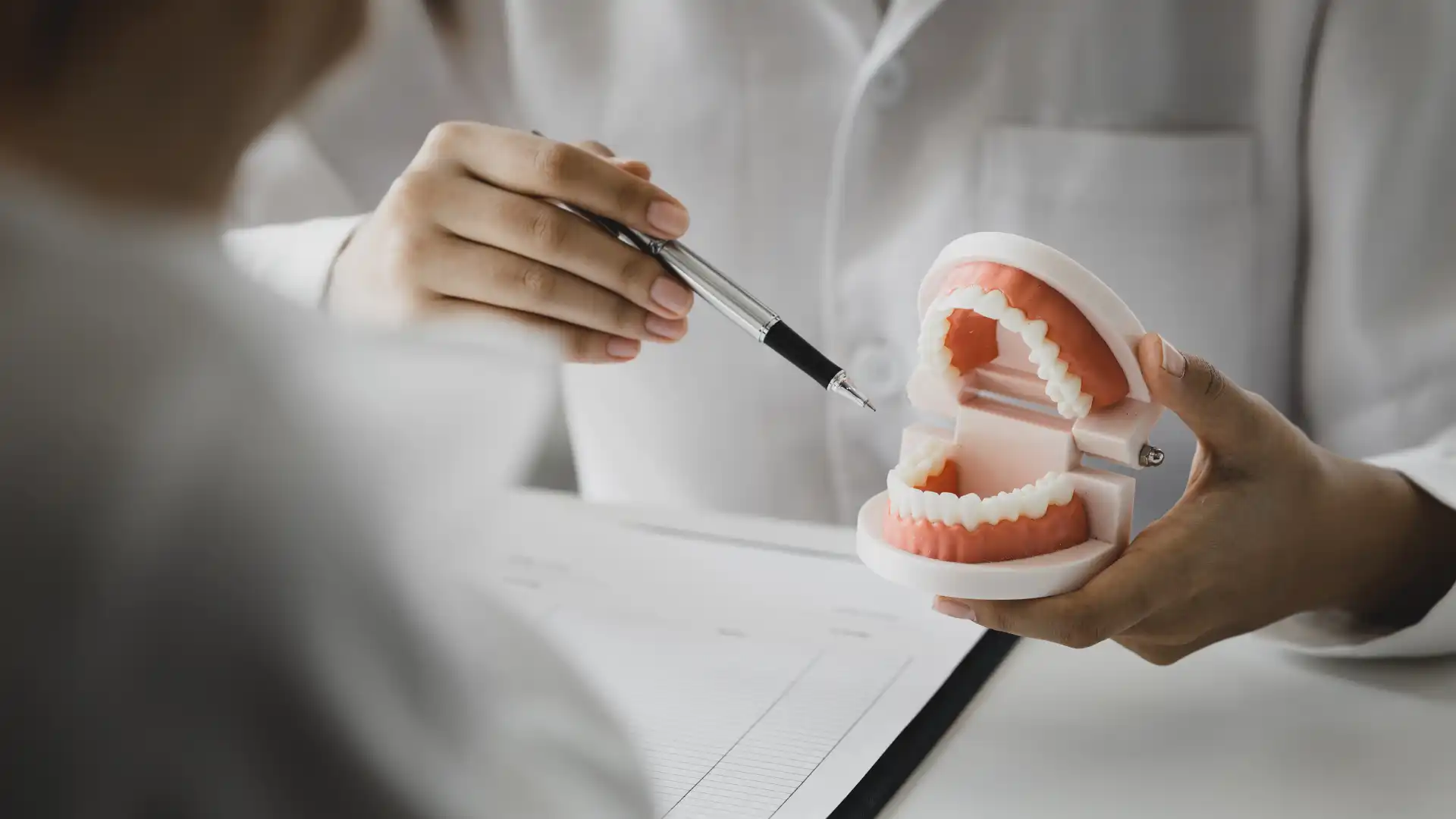 Dentist demonstrating proper oral care using a dental model and tool during a consultation.