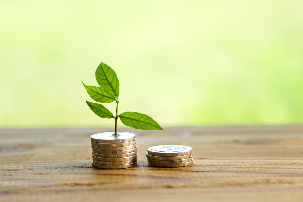 A small plant growing from stacked coins, symbolizing financial growth and investment