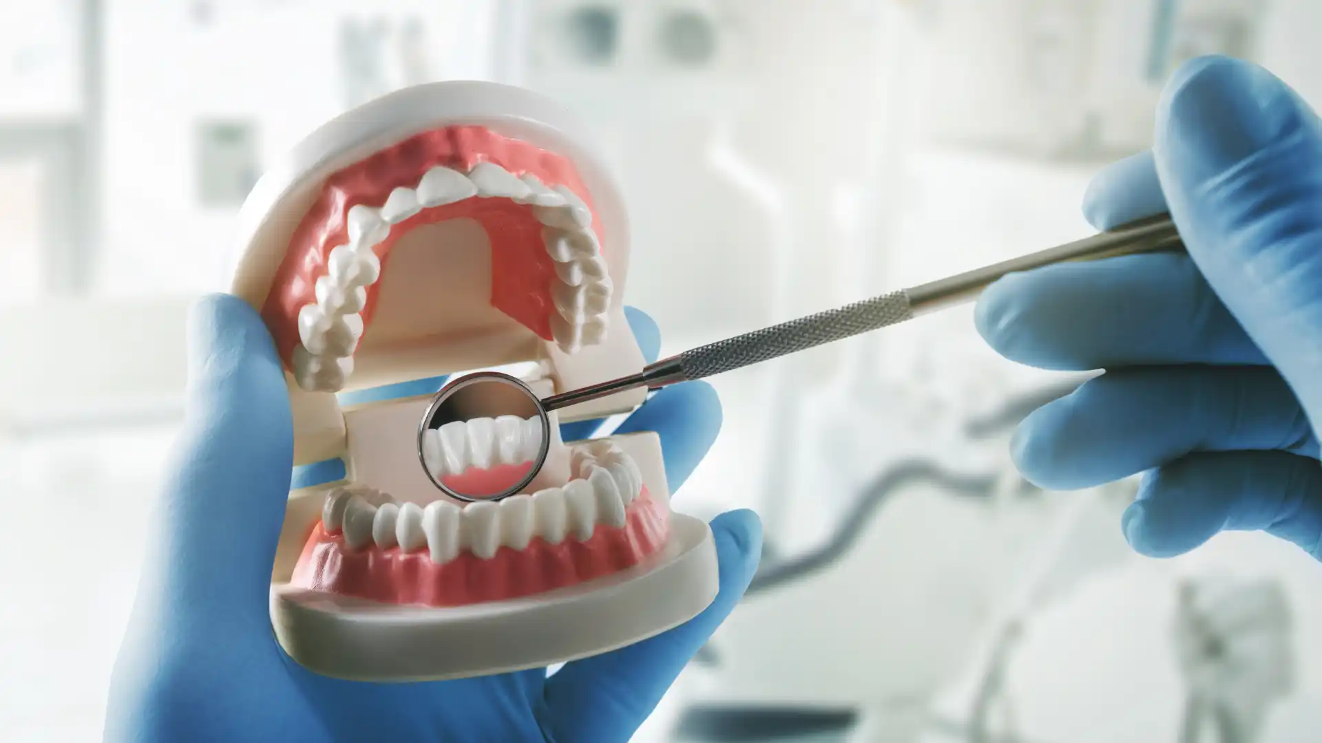 Dental professional using a mirror tool to examine a model of human teeth.