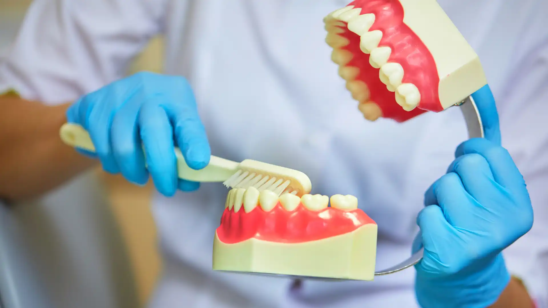 Dentist demonstrating proper brushing technique on a dental model.